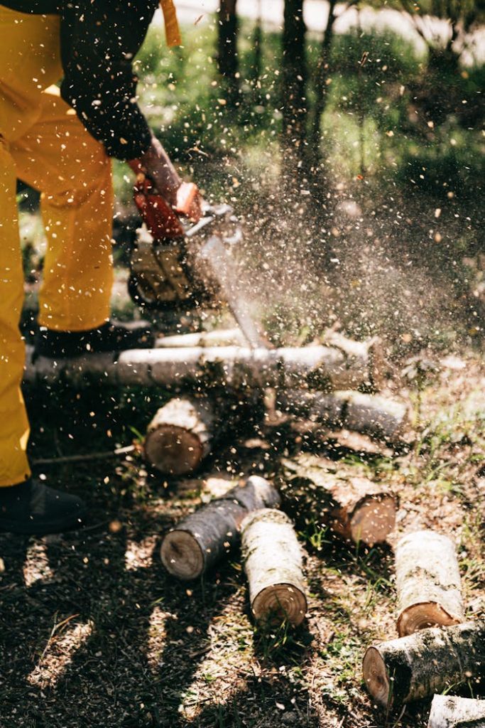 Photo of Person Using Chainsaw